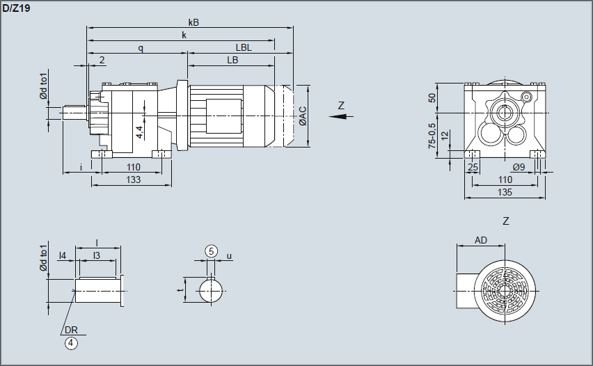 Редуктор D/Z19 - Исполнение на лапах
